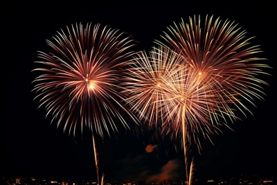 Preserving Your Child's Hearing at Fireworks Displays 3 Strategies for Protec...